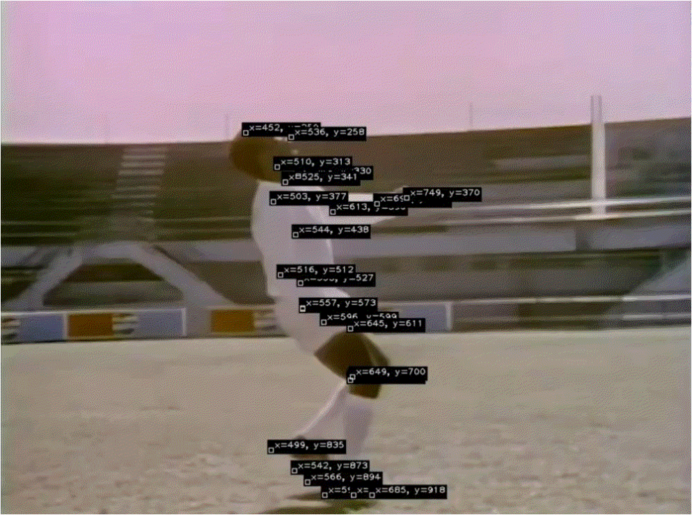 Architecture of Movement by Analivia Cordeiro and Nilton Lobo