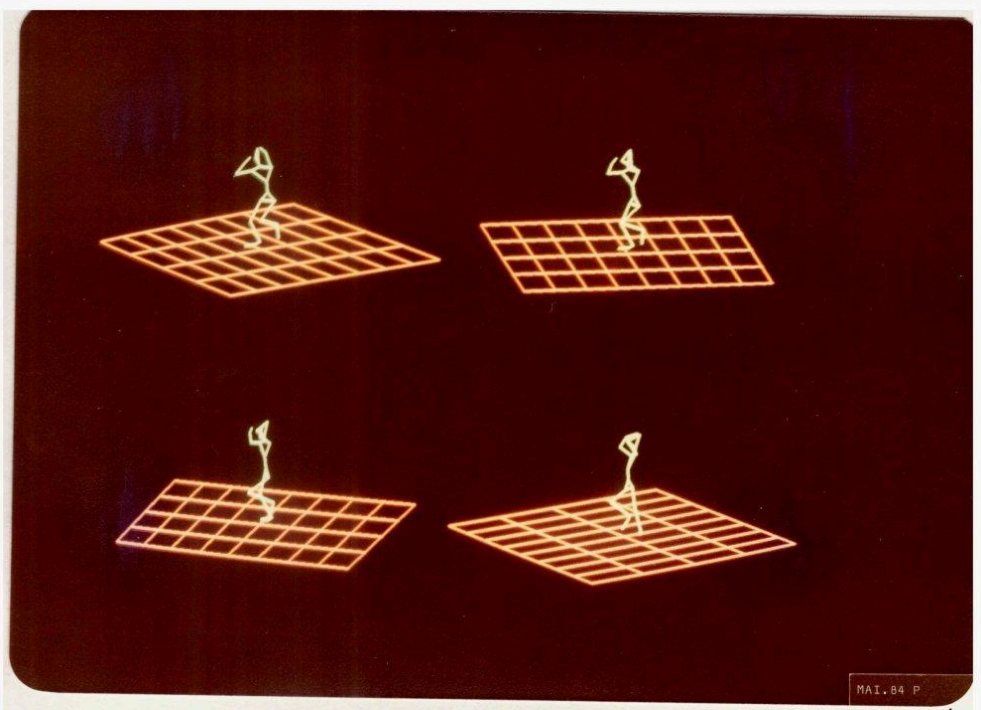 Four Points of View by Analivia Cordeiro and Nilton Lobo
