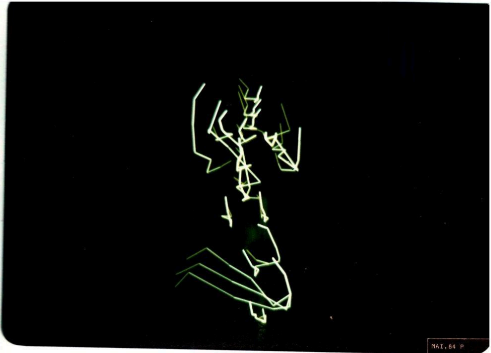 Trace-form of Yemanite Dance Step by Analivia Cordeiro and Nilton Lobo