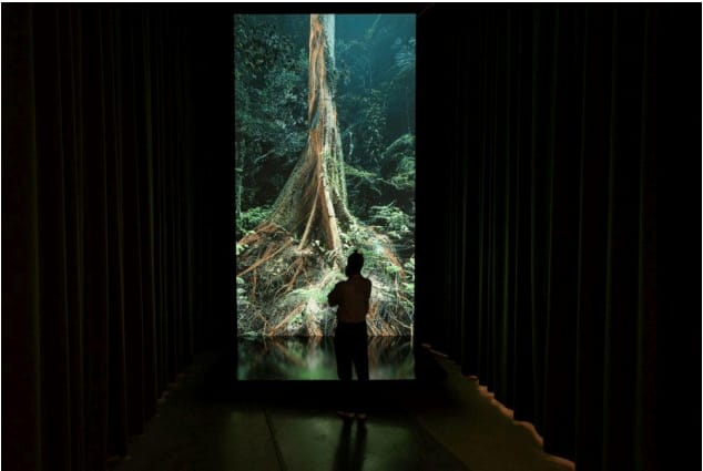 Sanctuary of the Unseen Forest, Vertical Edition by Marshmallow Laser Feast