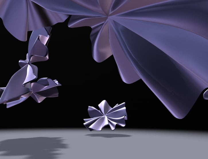 Fluid Forms — Lincoln Schatz cover